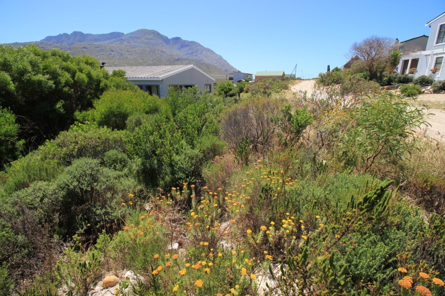 0 Bedroom Property for Sale in Pringle Bay Western Cape